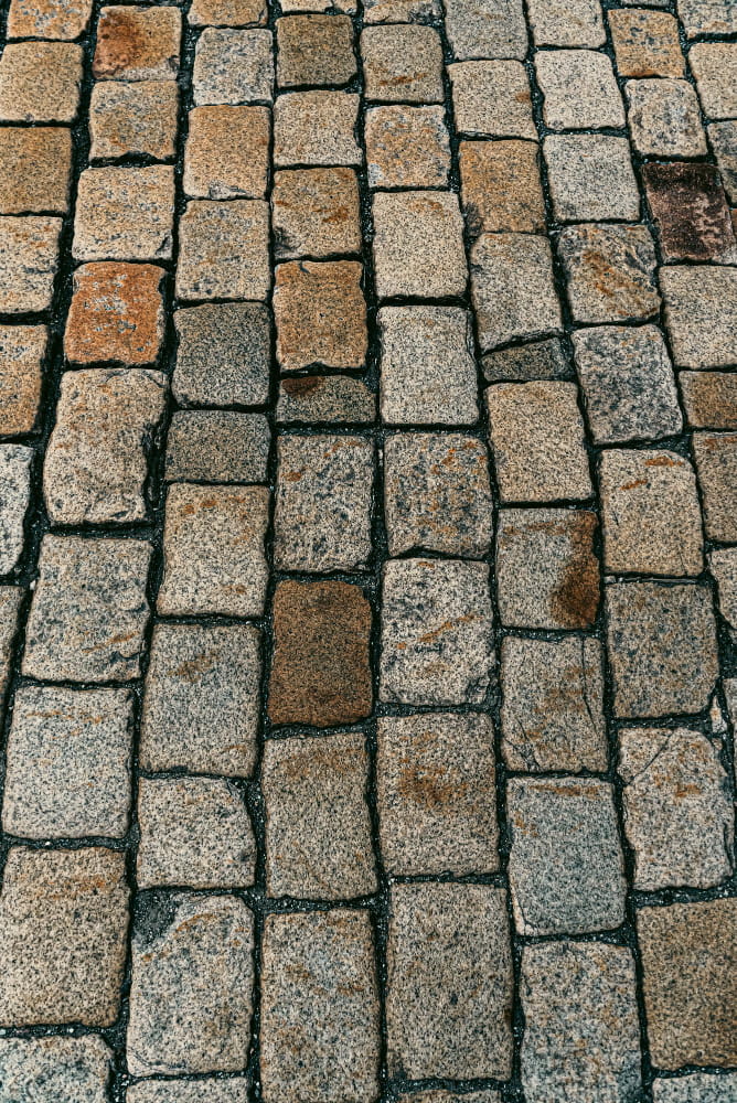 Pflastersteine reinigen